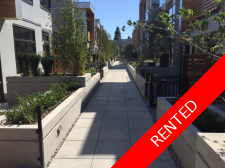 Oakridger Apartment for rent: New Oak 2 bedroom 1,338 sq.ft. (Listed 2015-10-10)
